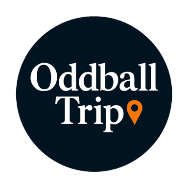 OddballTrip โ Outdoor Activities & Experiences in Tenerife